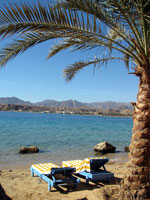 Sonnenliegen am Strand von Sharm El Sheikh (Foto: Eichner-Ramm) Sonnenliegen am Strand von Sharm El Sheikh (Foto: Eichner-Ramm)