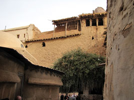 Neben der Kapelle steht der vermeintlich »brennende Busch« (Foto: Eichner-Ramm) Neben der Kapelle steht der vermeintlich »brennende Busch« (Foto: Eichner-Ramm)