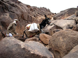 Der Nachschub für die Teestuben auf dem Berg wird mit dem Esel angeliefert (Foto: Eichner-Ramm) Der Nachschub für die Teestuben auf dem Berg wird mit dem Esel angeliefert (Foto: Eichner-Ramm)
