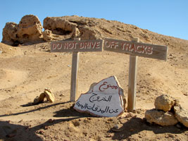 Fahrzeugen müssen auf den Fahrwegen beleiben (Foto: Eichner-Ramm) Fahrzeugen müssen auf den Fahrwegen beleiben (Foto: Eichner-Ramm)