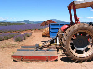 Ernteger&auml;t made in Tassie