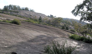 Der Bald Rock gilt als gr&ouml;&szlig;ter Granitmonolith Australiens