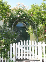 Gepflegt: Vorg&auml;rtchen eines Cottages im Stadtteil Battery Point