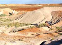 Touristen k&ouml;nnen beim &raquo;noodling&laquo; in Abraumhalden nach Opalen suchen