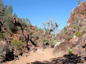 Eine von vielen m&ouml;glichen Wanderungen in den Flinders Ranges f&uuml;hrt in den Sacred Canyon