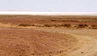 Hitzeflirren am Lake Eyre South