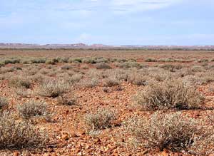Auch das Nichts hat seinen Reiz