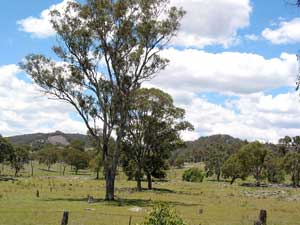 Reizvoll: Landschaft am New England Highway