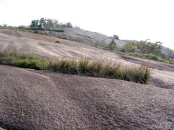 Bald Rock bei Tenterfield