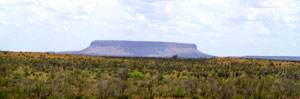 Schon von weitem zu sehen: Mount Connor s&uuml;dlich des Lasseter Highway nahe Curtin Springs (Foto: Skotschier)