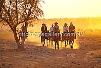 Farmleben auf Curtin Springs: Stockmen bei der Arbeit (Foto: Steph Miechel&nbsp;/&nbsp;NTTC) 