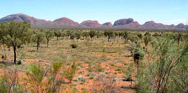 Aussichtspunkt an der Zufahrtstra&szlig;e: Blick auf die &raquo;vielen K&ouml;pfe&laquo; (Kata Tjuta)