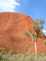 Fotogene Kontraste: Gr&uuml;ne Vegetation, roter Fels und blauer Himmel