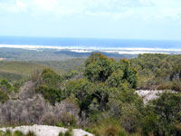 Kilometerlang: Ocean Beach an der Westk&uuml;ste Tasmaniens