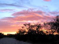 Sonnenuntergang im Outback