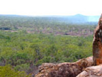 In dieser weiten Ebene verstecken sich die Undara Lava-R&ouml;hren