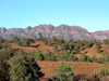 Eine der &auml;ltesten Landschaften der Welt: Flinders Ranges