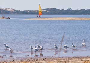 Leschenault Inlet n&ouml;rdlich von Bunbury (Foto: Tourism Western Australia)
