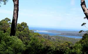 Blick auf die K&uuml;stenregion s&uuml;dlich von Walpole
