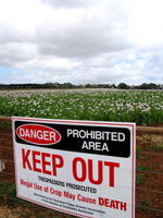 Zutritt verboten: Mohnfeld