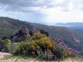 Aussicht vom 809 Meter hohen Col de Bacinu auf die Küste bei Porto Vecchio (Foto: Eichner-Ramm)