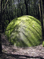 Auf dem Weg vom Parkplatz zur Ausgrabungsstätte fallen riesige, bemooste »Felsmurmeln« auf (Foto: Eichner-Ramm) Auf dem Weg vom Parkplatz zur Ausgrabungsstätte fallen riesige, bemooste »Felsmurmeln« auf (Foto: Eichner-Ramm)