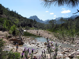 Solenzara-Schlucht (Foto: Eichner-Ramm) Solenzara-Schlucht (Foto: Eichner-Ramm)