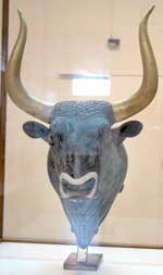 Stierkopf: Exponat im Arch&auml;ologischen Museum