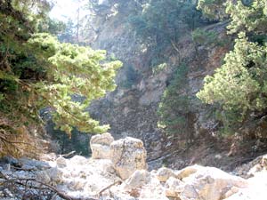 Vielf&auml;ltige Vegetation in der Imbros-Schlucht