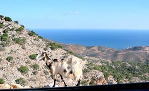 Blick auf die Nordk&uuml;ste von Rogdia aus