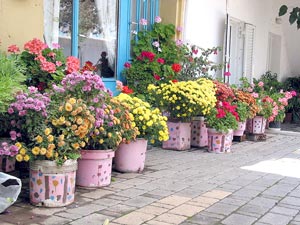 Blumenschmuck in einer Gasse im Oberdorf von Anogia
