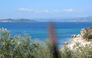 K&uuml;ste bei Develiki