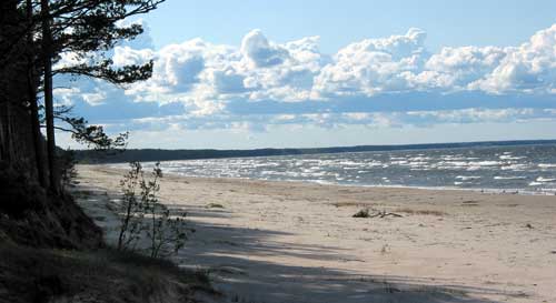 Ostsee-Strand bei Jurmala (Foto: Eichner-Ramm) Ostsee-Strand bei Jurmala (Foto: Eichner-Ramm)