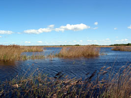 Weiter Blick über den Pape-See (Foto: Eichner-Ramm) Weiter Blick über den Pape-See (Foto: Eichner-Ramm)