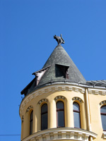 Schwarze Katze auf dem Dach (Foto: Eichner-Ramm) Schwarze Katze auf dem Dach (Foto: Eichner-Ramm)