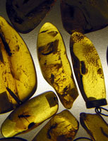 Bernstein im Museum in Nida (Foto: Eichner-Ramm) Bernstein im Museum in Nida (Foto: Eichner-Ramm)