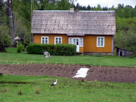 Gehöft mit Storch im Garten (Foto: Eichner-Ramm) Gehöft mit Storch im Garten (Foto: Eichner-Ramm)