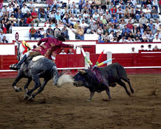 Stierkampf in der Arena von Angra do Hero&iacute;smo (Foto: ATA / Associa&ccedil;&atilde;o de Turismo dos A&ccedil;ores)