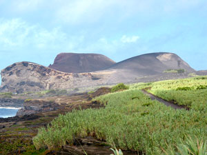 Küstenlandschaft zwischen Varadouro und Capelinhos (Foto: Eichner-Ramm) Küstenlandschaft zwischen Varadouro und Capelinhos (Foto: Eichner-Ramm)