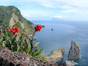 Küste bei Alagoa mit Corvo am Horizont (Foto: Eichner-Ramm) Küste bei Alagoa mit Corvo am Horizont (Foto: Eichner-Ramm)