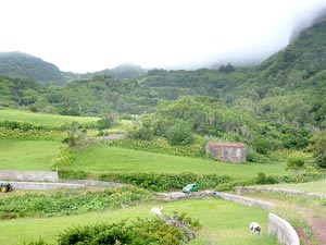 Sattes Grün unten, Nebel oben: Landschaft bei Costa (Foto: Eichner-Ramm) Sattes Grün unten, Nebel oben: Landschaft bei Costa (Foto: Eichner-Ramm)