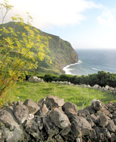 K&uuml;ste bei Cuada (Foto: Eichner-Ramm)