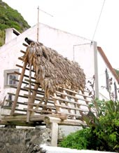 Trockengestell: Idylle in Faj&atilde; Grande (Foto: Eichner-Ramm)