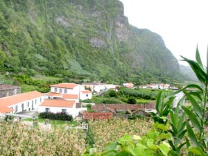 Gefährliche Lage an der Steilwand: Ponta da Fajã (Foto: Eichner-Ramm) Gefährliche Lage an der Steilwand: Ponta da Fajã (Foto: Eichner-Ramm)