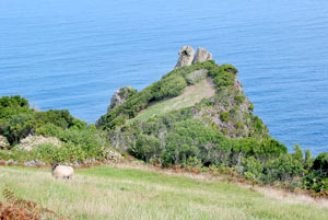 Landschaft bei Ponta Ruiva (Foto: Eichner-Ramm) Landschaft bei Ponta Ruiva (Foto: Eichner-Ramm)