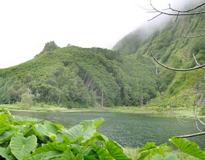 Lagoa dos Patos bei den Wasserfällen an der Steilküste (Foto: Eichner-Ramm) Lagoa dos Patos bei den Wasserfällen an der Steilküste (Foto: Eichner-Ramm)
