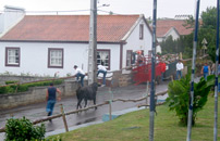 &raquo;Stierkampf am Strick&laquo;: &raquo;Tourada &agrave; Corda&laquo; in Santo Ant&atilde;o (Foto: Eichner-Ramm)