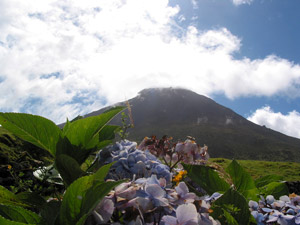 Der mit 2351 Meter höchste Berg Portugals gab der Insel Pico ihren Namen. (Foto: Eichner-Ramm) Der mit 2351 Meter höchste Berg Portugals gab der Insel Pico ihren Namen. (Foto: Eichner-Ramm)