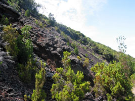 Lavafeld an der Ponta da Mist&eacute;rio (Foto: Eichner-Ramm)
