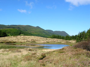 Die Landschaft am Lagoa do Negro nennt sich Mist&eacute;rio Negro (Foto: Eichner-Ramm)